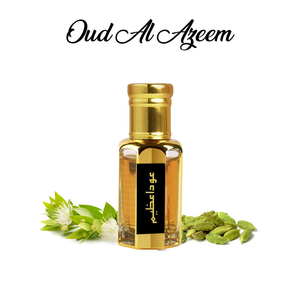 Oud Al Azeem (An impression suprem oud)